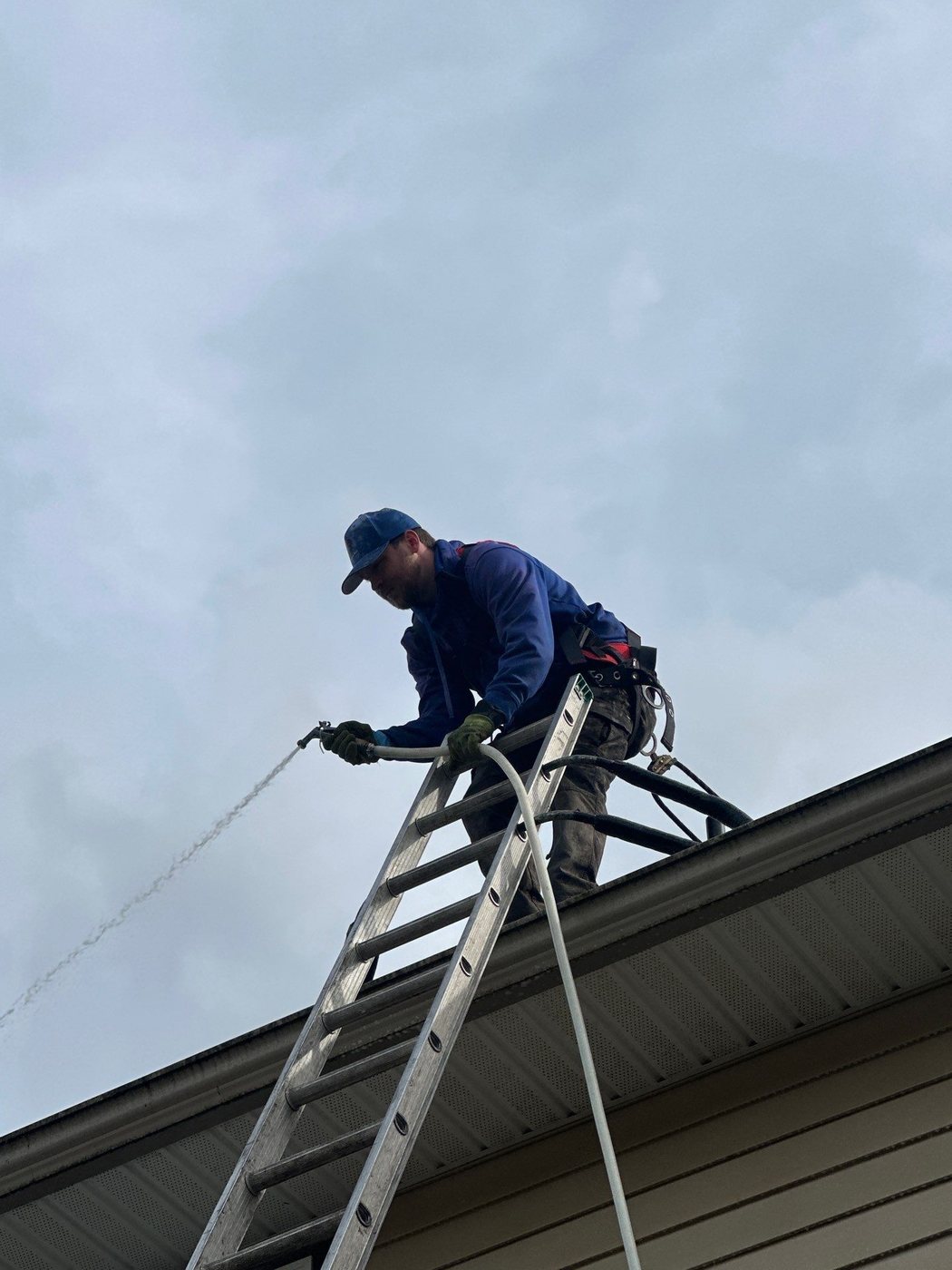 td-svc-1-roof