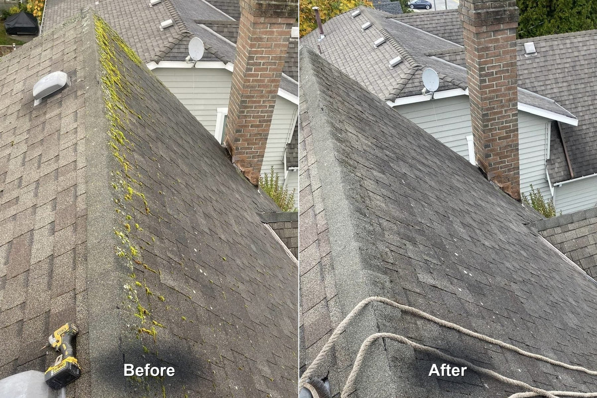 Before and after: moss cleared from the hip cap beside the brick chimney on a steep asphalt roof in Tsawwassen, Delta